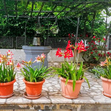 Apartman Lavanda Sa Bazenom I Okucnicom 4* Hreljin Zewnętrze zdjęcie